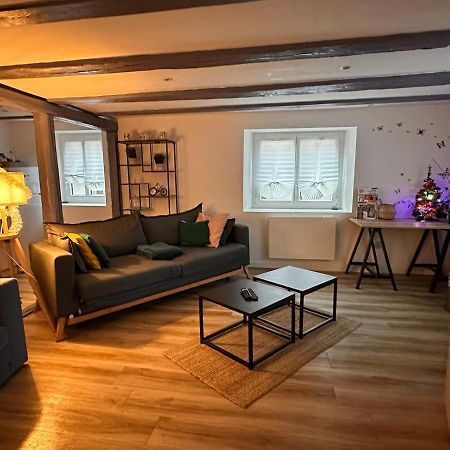 Le Nid Cosy D'Obernai /2Min Centre Ville/Parking 外观 照片