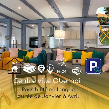 Le Nid Cosy D'Obernai /2Min Centre Ville/Parking 外观 照片