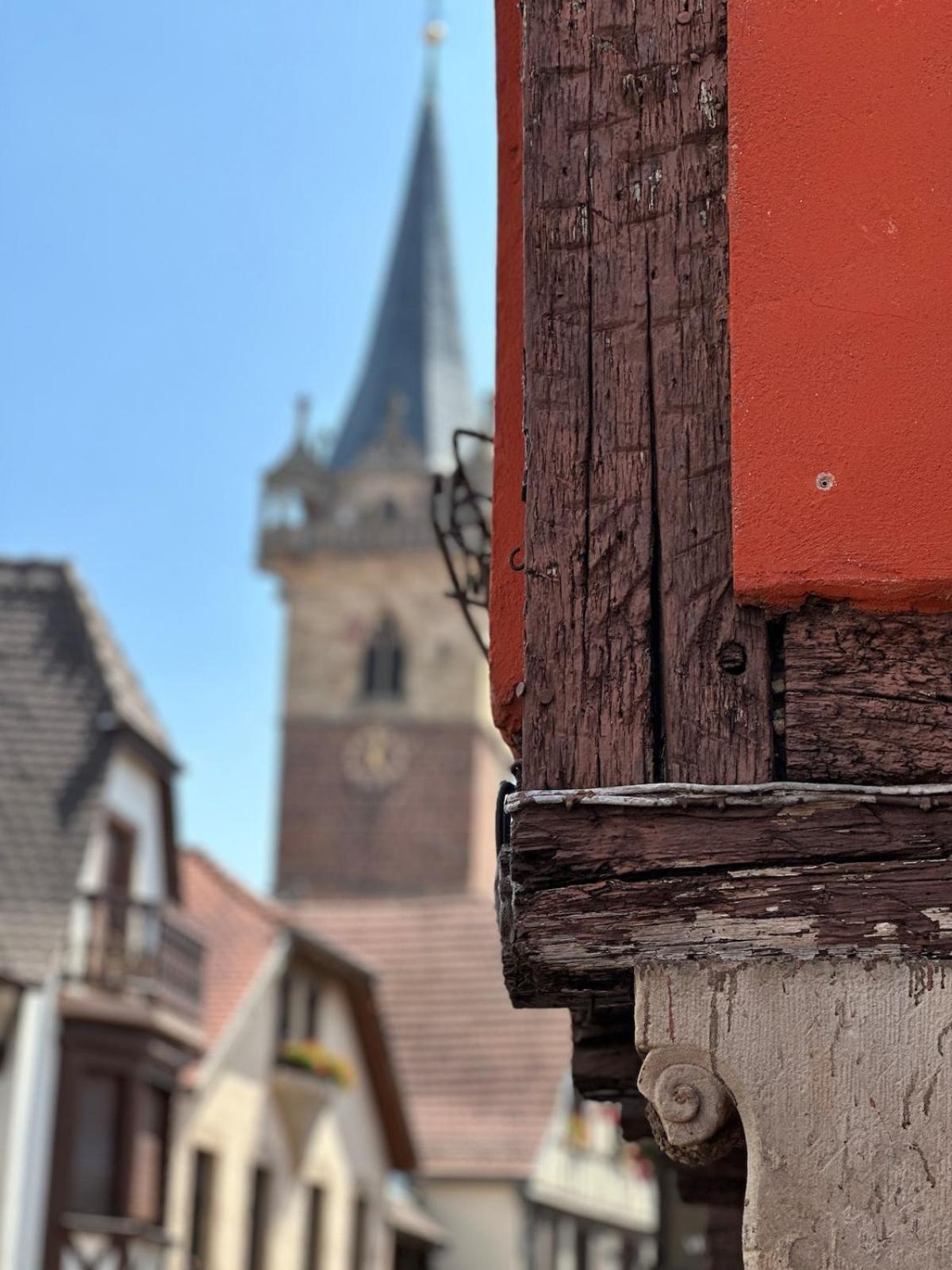 Le Nid Cosy D'Obernai /2Min Centre Ville/Parking 外观 照片