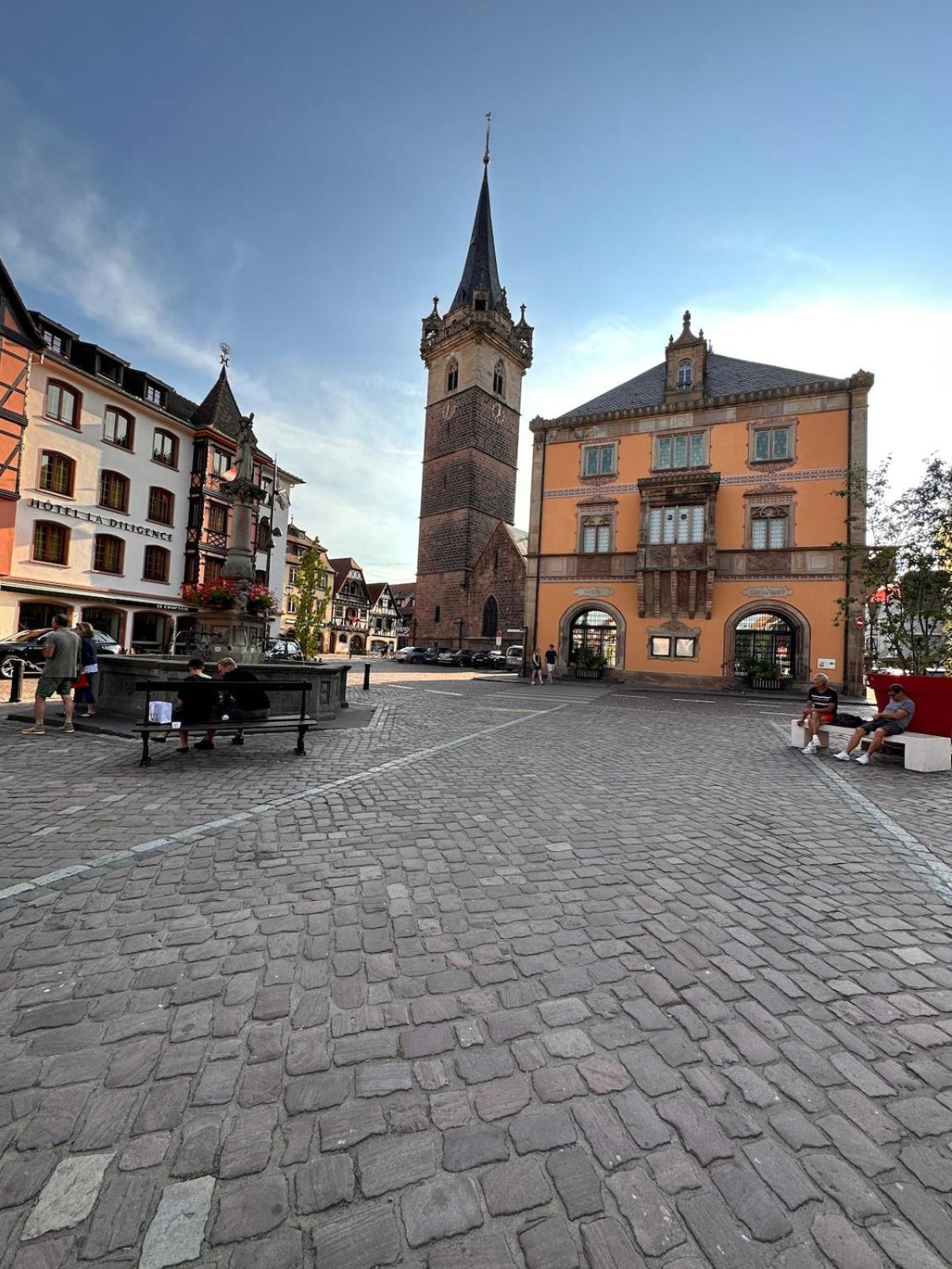Le Nid Cosy D'Obernai /2Min Centre Ville/Parking 外观 照片