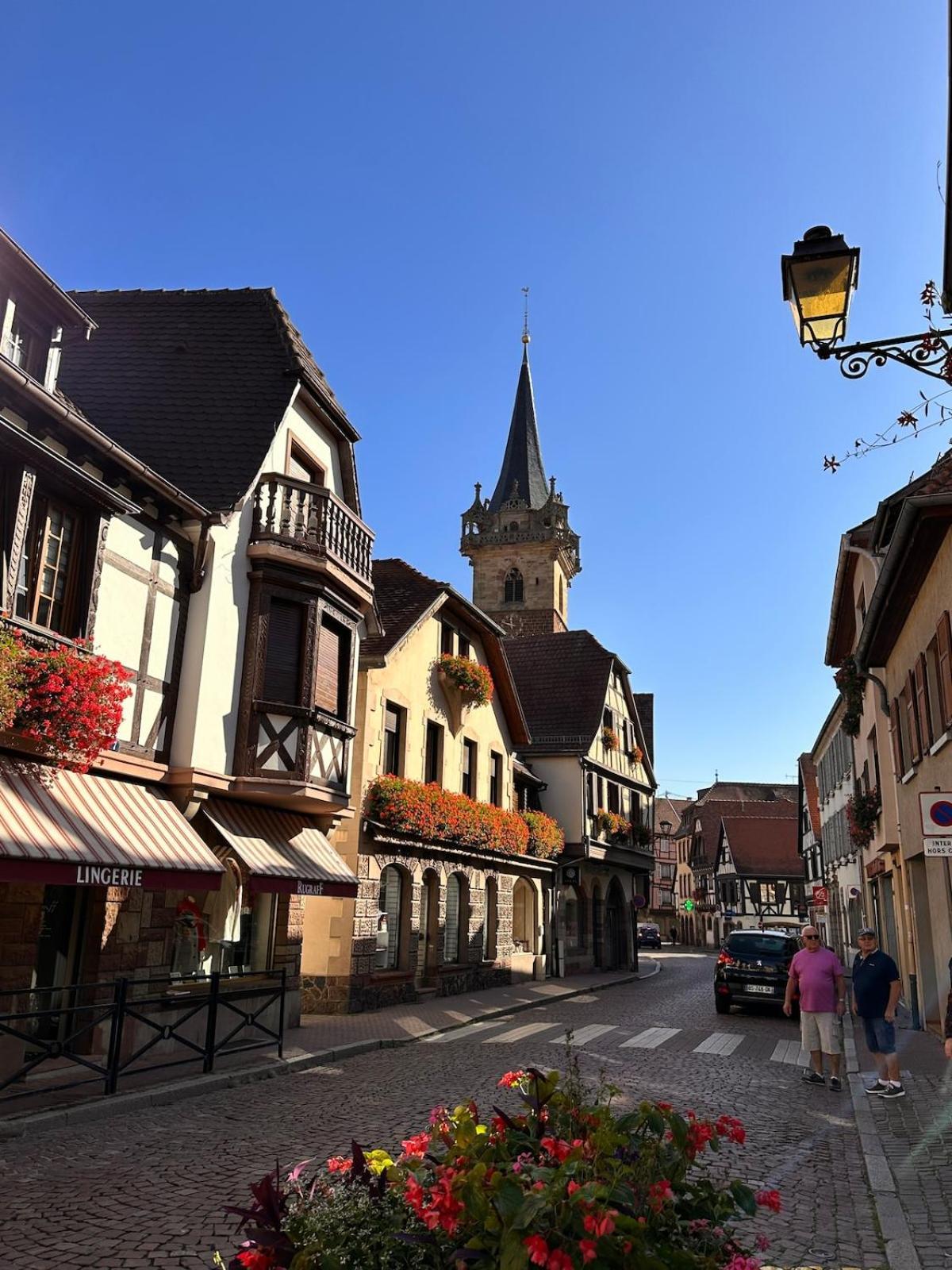 Le Nid Cosy D'Obernai /2Min Centre Ville/Parking 外观 照片